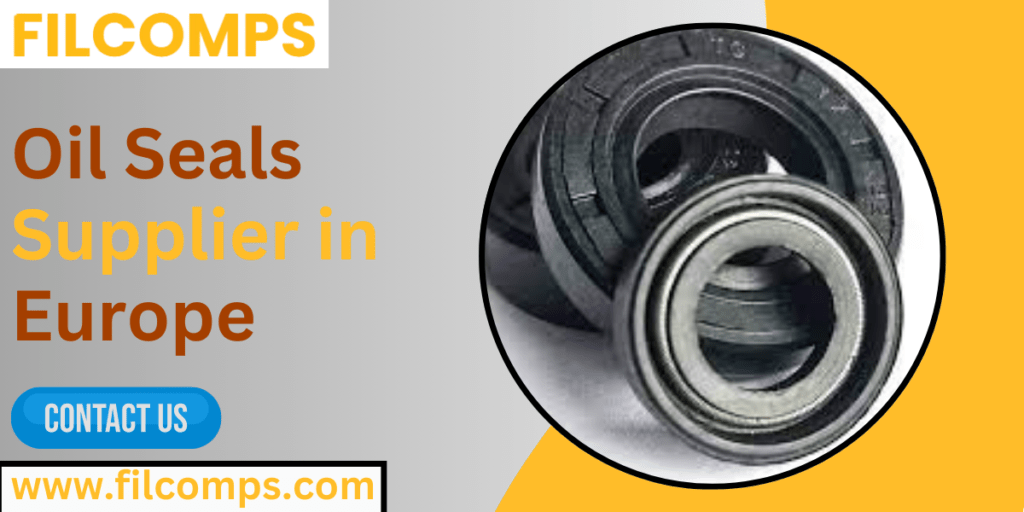 Oil Seals Supplier in Europe