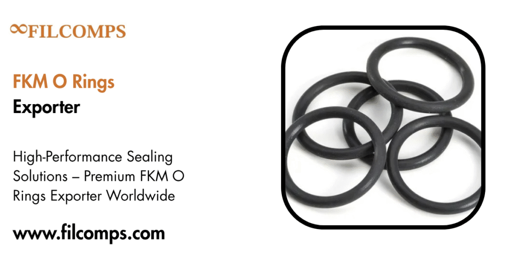 FKM O Rings Exporter